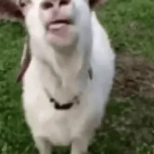 ybRm9Y