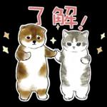 柴柴與貓咪 pack2