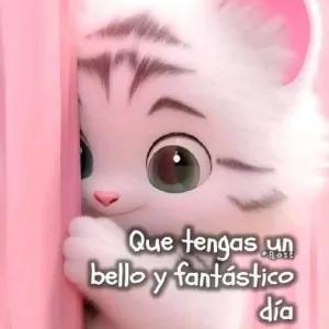 SpuU8N