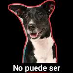 ¿Qué dices?