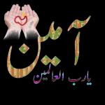 Ali Ali 