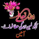 اللهم صل وسلم
على نبينا وحبيبنا