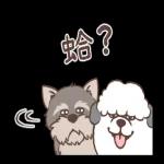 圓圓胖狗和愉快的小夥伴們