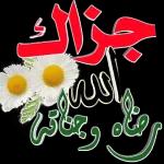 2w
الله
صباح
بكل خير