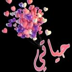 جناح السعادة والرضا🧡