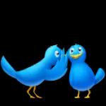 منشاء منشاء