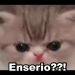 buen día!