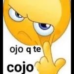 Concuerdo con la loca