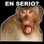 @Mycute_stickers
Joon
Tas bien?