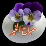 صباح الخير 