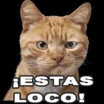 Se me para el pilin