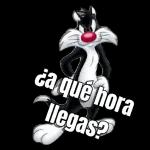 Rodrigo 