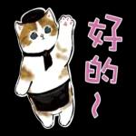 甜點貓咪：肉球光线发射