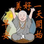 聪明可爱的小弥勒😉