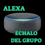 Échalo del grupo😡😡😡