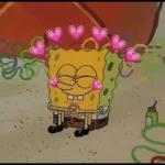 Heloo
Haai
Koewie
Hoe gaan dit daar?