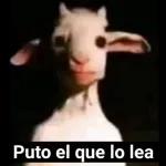gloria