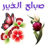 صباح الخير جمعه مباركه