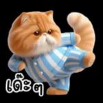 แมวขี้โมโหในชุดนอนสีอ่อน