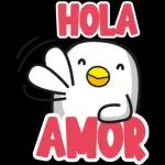 QUE PASO MI SHULA