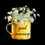 rise and shine🌞🌞🌞😘😘😘