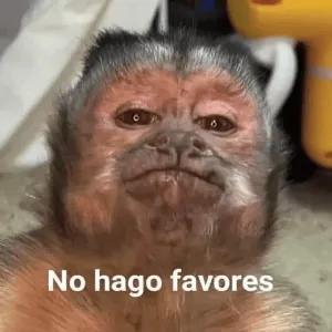 No hago favores - getsticker.com