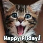 dear it's friday！