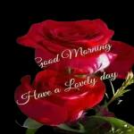 Morning sweetheart❤️😘