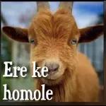 funny