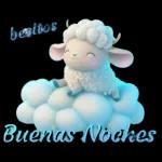 buenas noches 