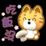 閃亮的日子=椪柑=