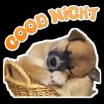 I need you like a heart needs a beat 💓