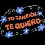 mis cosas