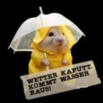 Ein Liebes Küsschen für Dich