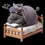 แมวดำ ฮิปโปแคระ