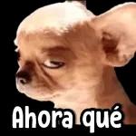 PARAAAA!!