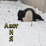 мои стикеры