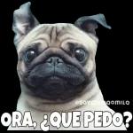@paraguayita_01 Diosito ya quítale el celular