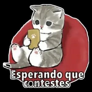 Esperando que contestes - getsticker.com