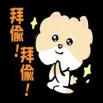 博美狗AB-不正经动起来