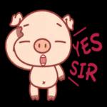 豬豬 the pig