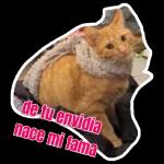 tranquila lesbiana, todo estará bien