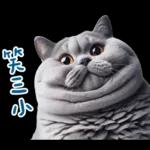 起肖貓貓★台語卡唬爛!