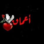اللَّهُ أَكْبَرُ كَبِيرًا  وَالْحَمْدُ لله كَثِيرًا  وَسُبْحَانَ الله بُكْرَةً وَأَصِيلًا