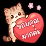 สู้ ๆ นะตัวฉัน ไม่มีอะไรที่จะแย่ไปตลอดหรอก.🙂