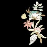 أفدي قلبك | يا روحي