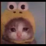 Mis ojitos están enamorados de los tuyos.