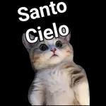 Santo Cielo