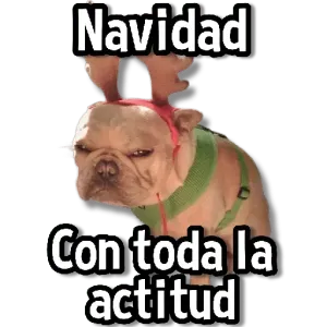 lty5zqe