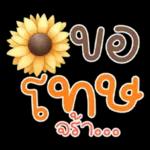 คำฮิต ภาษาดอกไม้ คนเหงา